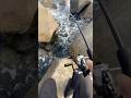 【穴釣り】巨大テトラの隙間から 穴釣り🎣釣り初心者でも簡単