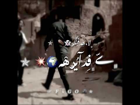 حالات واتس شهاب سلطان مهرجان انا الرازل قولي عايز تاخد فين توزيع فيجو لسه منزلش  2026