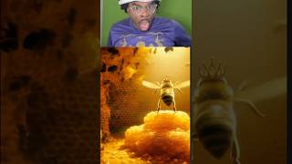 POV YOUR A BEE 😭💔 #funny #bees #nature