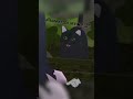 I want to play the piano surrounded by cats 【Archive】【Sakura School Simulator】
