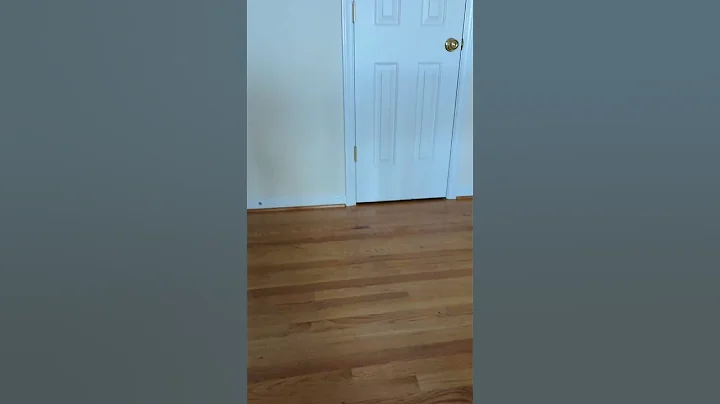 Watch the video about My cat whenever he finds a toy #cute #catvideo #siamese