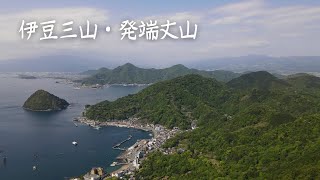 静岡県伊豆の国市 発端丈山 2023年 4月撮影