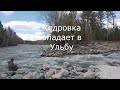 24 апреля  Поездка в Риддер