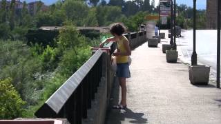 Guerrilla gardening: giardinaggio urbano