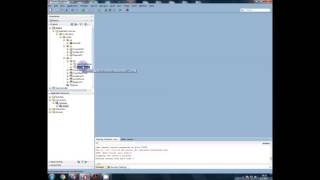 Bug u Jdev 12c