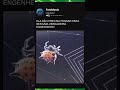 Vídeo ampliado de como as aranhas fazem teia #curiosidades