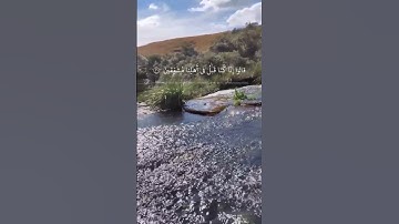 قالوا إنا كنا قبل في أهلنا مشفقين / محمد صديق المنشاوي/ سورة الطور