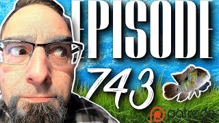 Planted Aquariums are better known as Aquascapes. Episode 743!