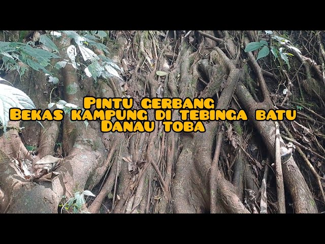 SAYA MENGUNJUNGI BEKAS KAMPUNG TUA YANG SUDAH TAK BERPENGHUNI RATUSAN TAHUN DI PINGGIR DANAU TOBA class=