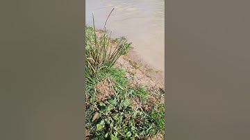 الله لطيف بعباده تلاوة للشيخ خالد الجليل  .