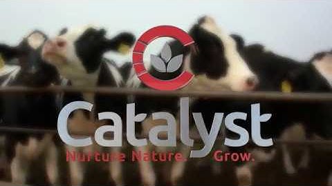 Bio5 (Probiotic Feed Additive) Dairy News Release