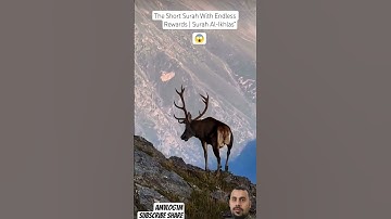 #سورة_الإخلاص #egzonibrahimi #ikhlas #animals #nature #shortvideo #foryou #wildlife