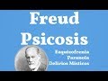 Freud, Psicosis