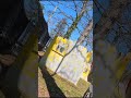 Winning the gunfight #icpl #paintball #headshot #pov #doofed