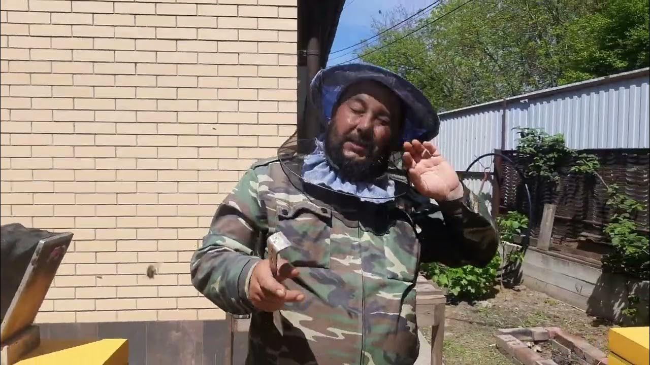 Пчеловоды братья марченко видео. Пасека. Пчеловоды братья марченко видео. Пчеловоды марченко. Пасека братьев марченко.