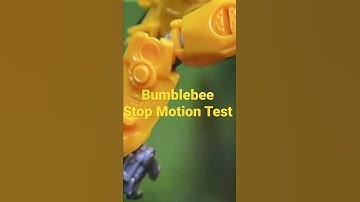 Bumblebee Stop Motion Test