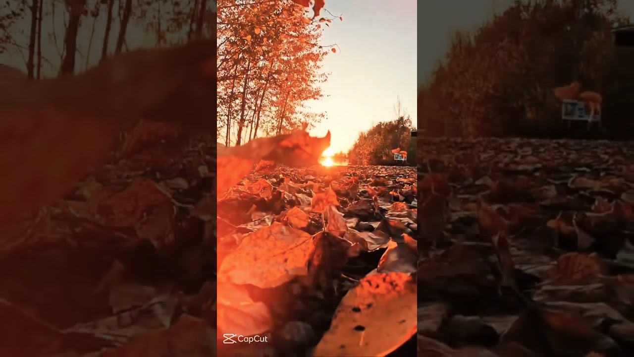 Tumi Amar jan re songs #Tunes_Of_Rakib Officel channel love and sad ringtone #tunes_of_rakib officil