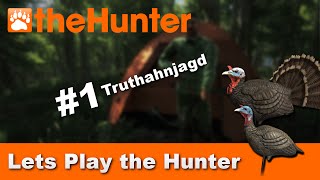 theHunter #1 Truthahnjagd screenshot 2