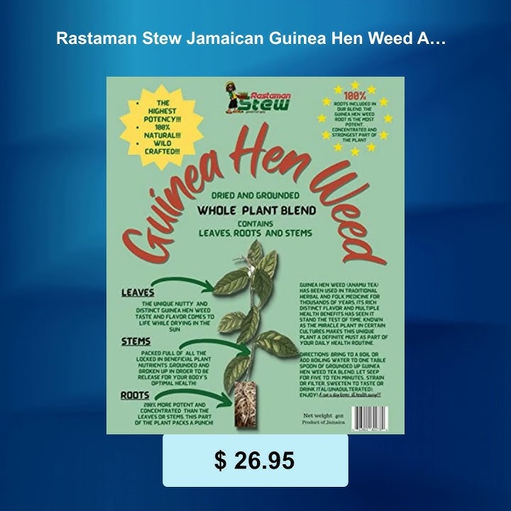 Rastaman Stew Jamaican Guinea Hen Weed Anamu Tea Leaves Stems and Roots Grounded and Blended Wilc...