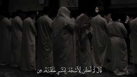 أجمل تلاوة خاشعة يمكن أن تسمعها 😌كمية الراحة في هدا المقطع لا توصف 🌿🪶