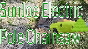Sun Joe Electric Pole Chain Saw - Review and Demo