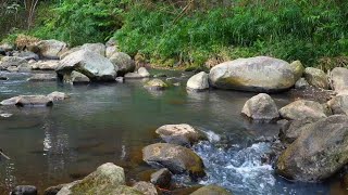 Soothing Relaxation: Relaxing Music, Sleep sounds, Water Sounds, Relaxing Music, Meditation