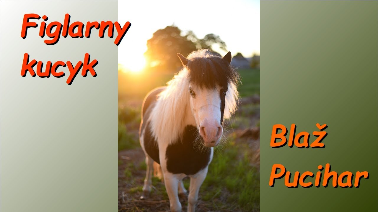 Blaž Pucihar - Figlarny kucyk (Zaczarowany flet Luny)