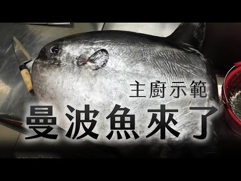 如何處理曼波魚？｜How to process Mola Mola ? | 海洋主廚愛爾文| 魚類處理