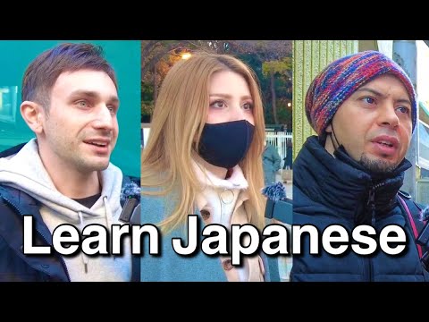 How Did You Learn Japanese ? Compilation 【100K Subs】
