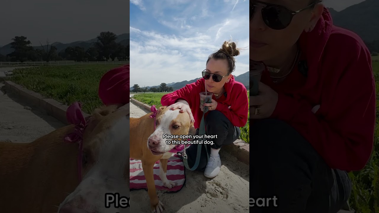 Kaley Cuoco 🤝 Dodo Dream Date | The Dodo