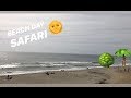 Carlsbad Safari?! (vlog #6)