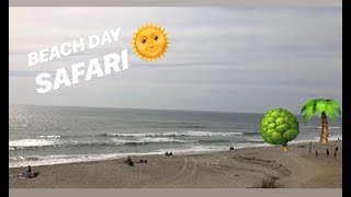 Carlsbad Safari?! (vlog #6)