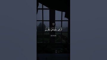 اكتب شيء تؤجر عليه ❤🌿|قران كريم|ماهر المعيقلي 🎧😴