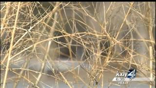 How Colorado residents are coping with legal weed