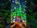 Super Cow Water Gamebot #gaming #squidgame #satisfyingvideo #satisfying #toys
