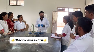 🔬 Engaging Practical Activity: Observe and Learn 🔍