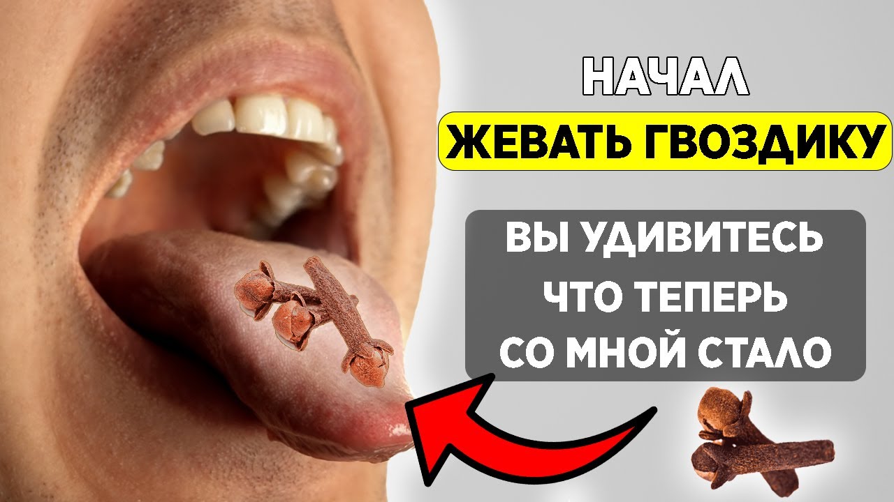 Просто начал ЖЕВАТЬ гвоздику и избавился от 10 НЕДУГОВ! Польза и вред  гвоздики. - YouTube