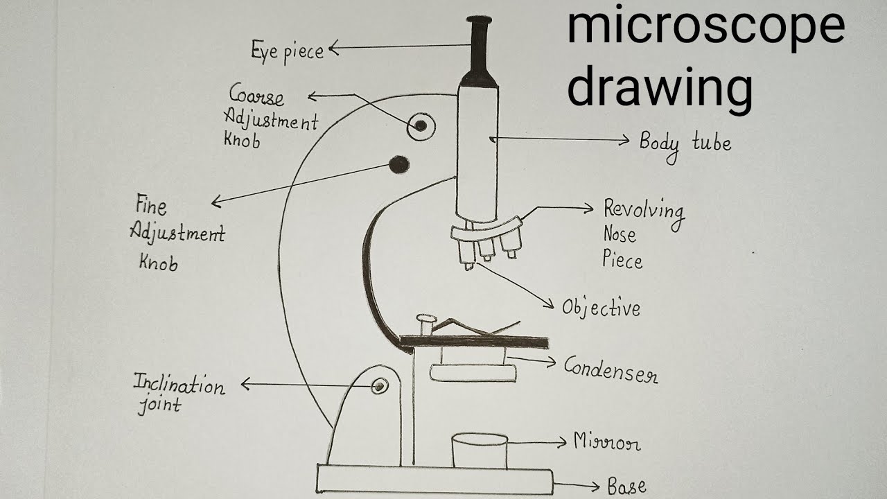 How to draw microscope machine easily -step by step - YouTube