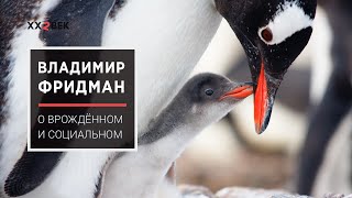 Владимир Фридман: Соотношение социального и врождённого