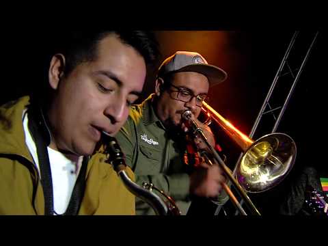 Kingdom Reggae - Música