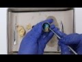 Sheep Eyeball Dissection