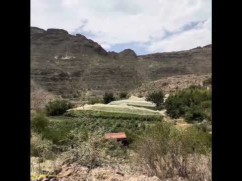 ليت القدر يسمح لقلبي بالصعود