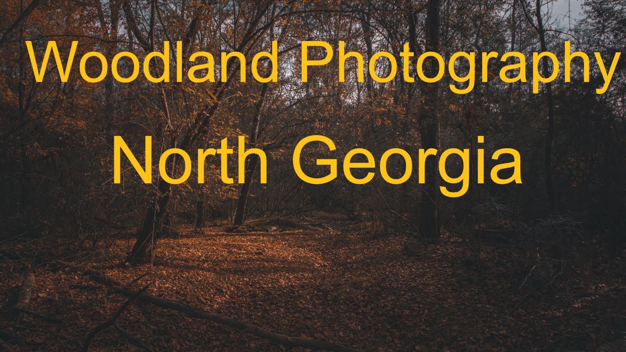 Fall Woodlands Photography in North YouTube