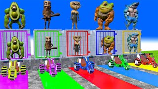 Long Slide Game with Cow Elephant Gorilla Hippopotamus Tiger 3d Animal Game Funny 3d Animals