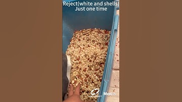 Anysort H Color Sorter in Mexico, Serving Better Peanut Quality.