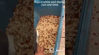 Anysort H Color Sorter in Mexico, Serving Better Peanut Quality.