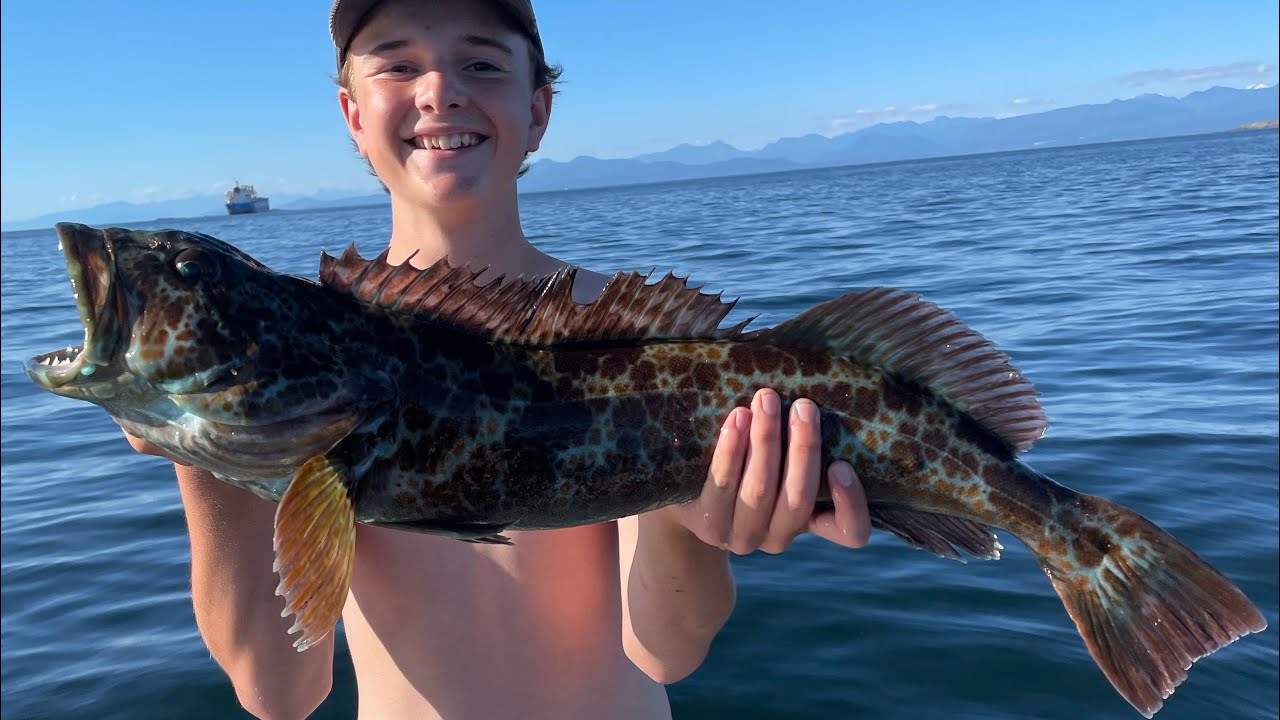 Lingcod fishing in Nanaimo BC - YouTube