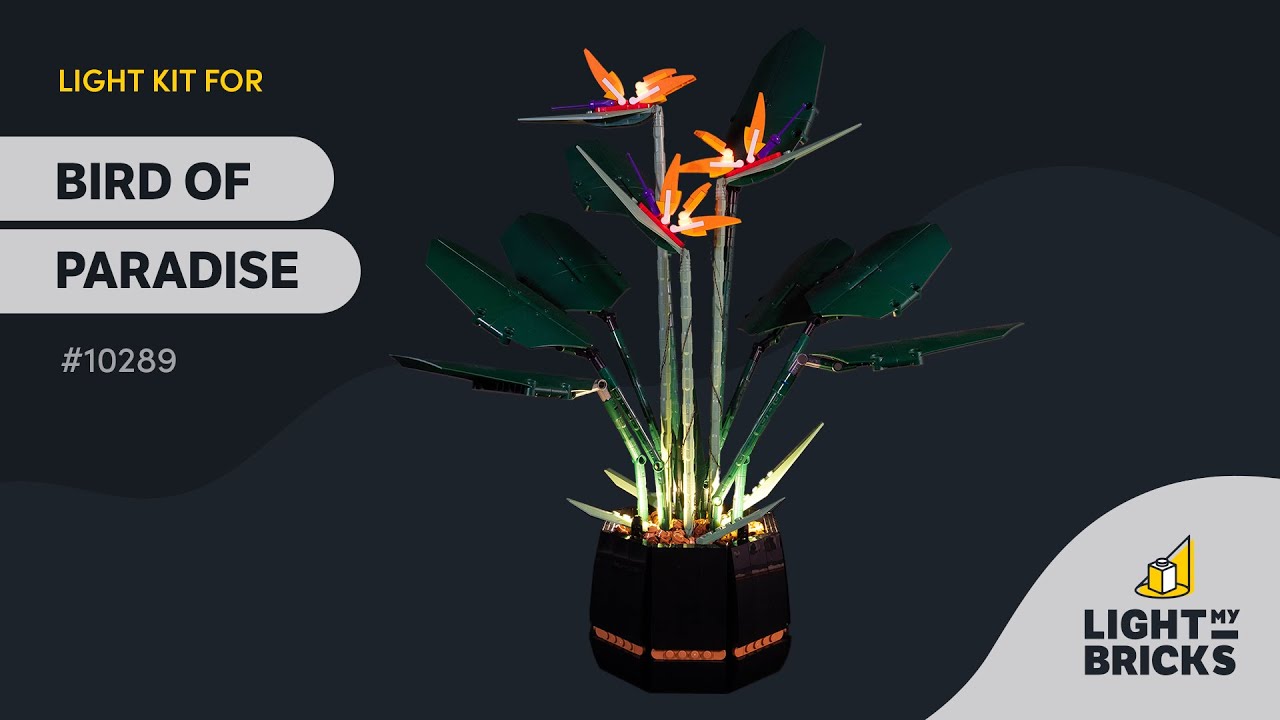 Kit d'éclairage compatible pour Lego Bird of Paradise 10289 – Lightailing