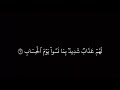 كروما قرآن ولا تتبع الهوى فيضلك عن سبيل الله سورة ص سعود الشريم