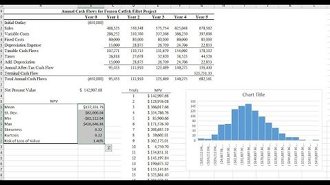 Monte Carlo Part 2 - NPV XL